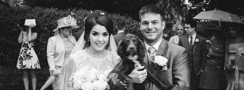 Dog-at-wedding-2
